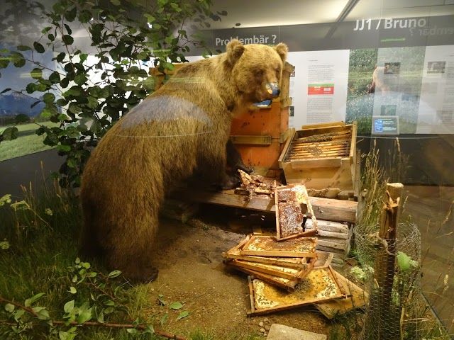 Museum Mensch und Natur